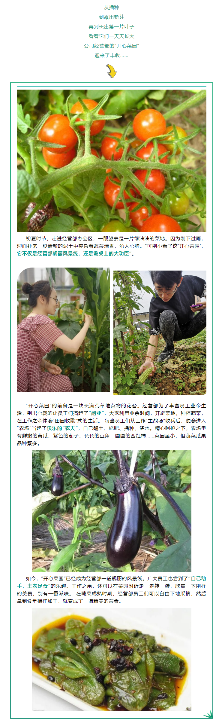 5.31  一線動態(tài)_經(jīng)營部“開心菜園”豐收啦！.png